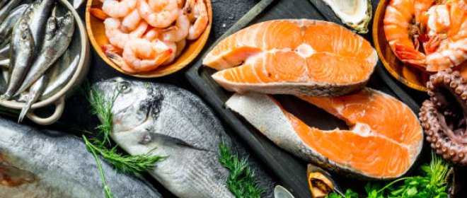 Buy Online Frozen Fish in Bulk in Dubai, UAE